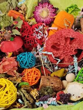 Play & Chew Fun  "No More Boredom" Box - Chinchillas, Guinea Pigs, Rabbits, Rats